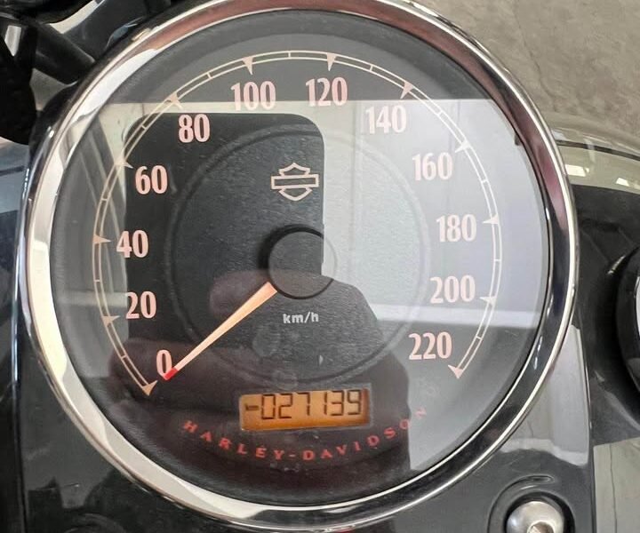 2014 HARLEY-DAVIDSON FATBOB